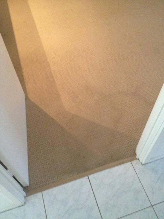 Gold Coast Carpet Cleaning 5 AustClean Mildura professional carpet cleaning before and after results—deep-cleaned carpet for homes and businesses in Mildura, Victoria.