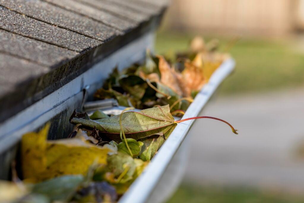 The importance of Gutter Cleaning 1 AustClean Queensland gutter cleaning – house gutter filled with dry yellow and brown leaves, showing the importance of professional gutter cleaning and roof maintenance for Australian homes.