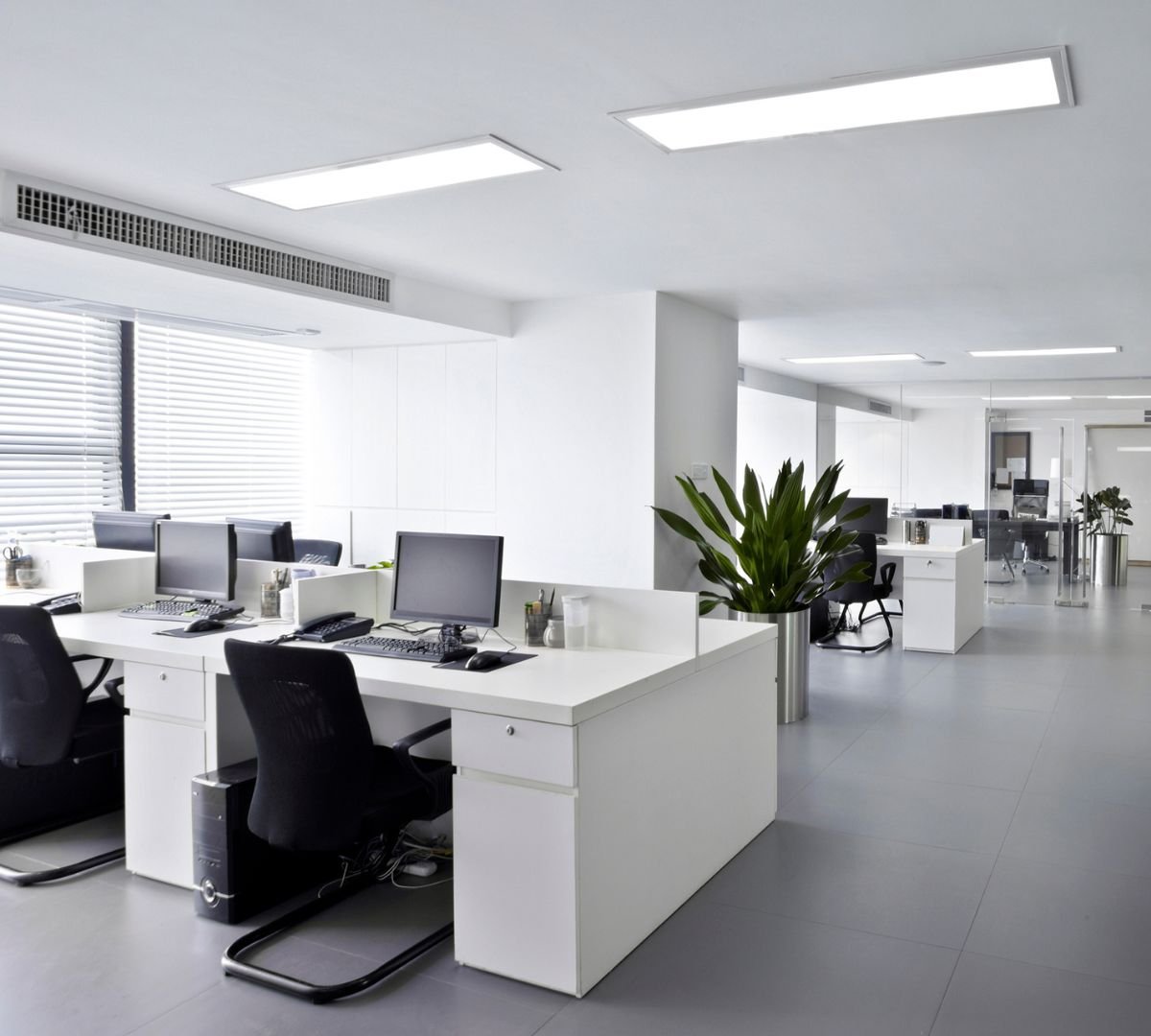 Professional Commercial Cleaning Services in Shepparton 1 AustClean Mildura professional carpet cleaning before and after results—deep-cleaned carpet for homes and businesses in Mildura, Victoria.