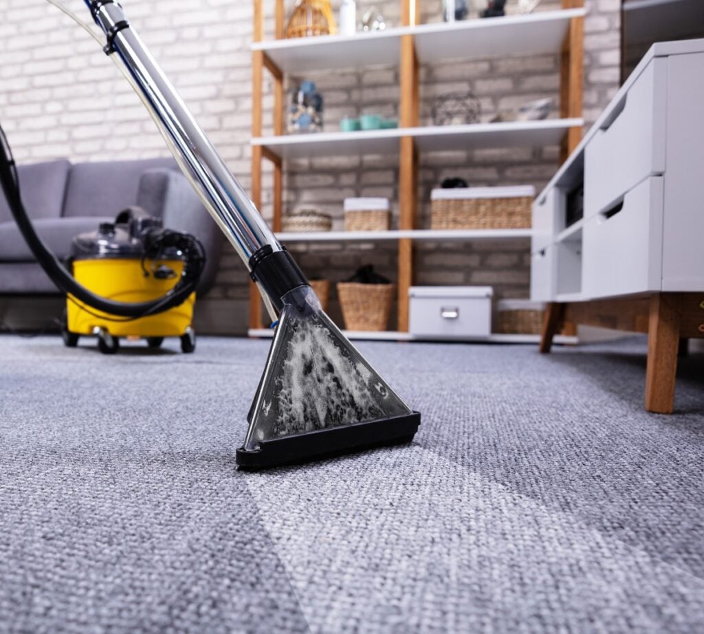 The Ultimate Guide to Apartment & Holiday Letting Cleaning 4 AustClean Mildura professional carpet cleaning before and after results—deep-cleaned carpet for homes and businesses in Mildura, Victoria.