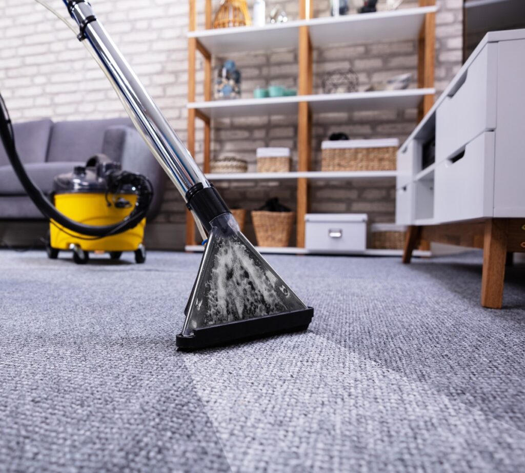 The Ultimate Guide to Apartment & Holiday Letting Cleaning 2 AustClean Mildura professional carpet cleaning before and after results—deep-cleaned carpet for homes and businesses in Mildura, Victoria.