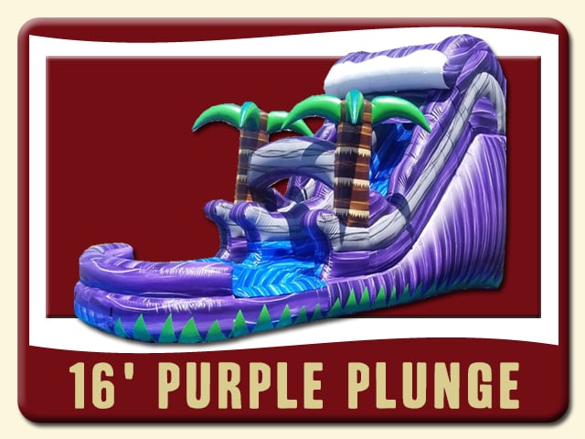 16' tall Purple Plunge water slide is topped w/ a purple wave white caped. The purple marbled outside. Two life-like palm trees and a pool