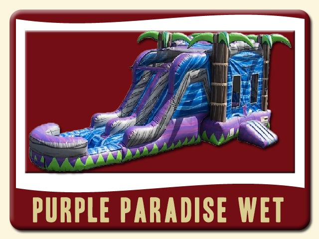 Purple Paradise Water Slide & Jump Combo Rental - Purple, Blue & Palm Trees