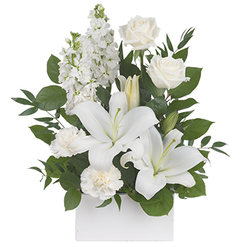 White Simplicity Flower Arrangement