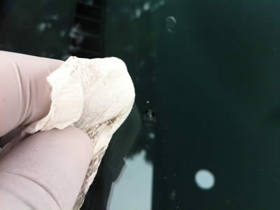 Car Windshield Chip Repair Colorado Springs Car Windshield Chip Repair Colorado Springs