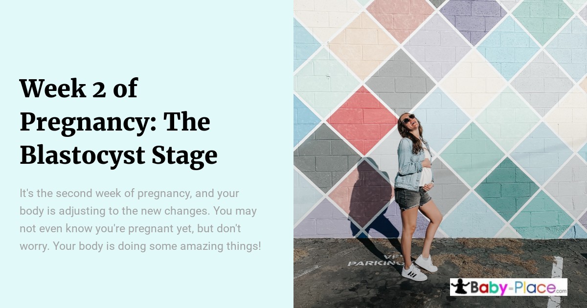 A woman stands smiling in front of a colorful geometric wall. Text on the left discusses week 2 of pregnancy and the blastocyst stage, with a "Baby-Place" logo at the bottom right.