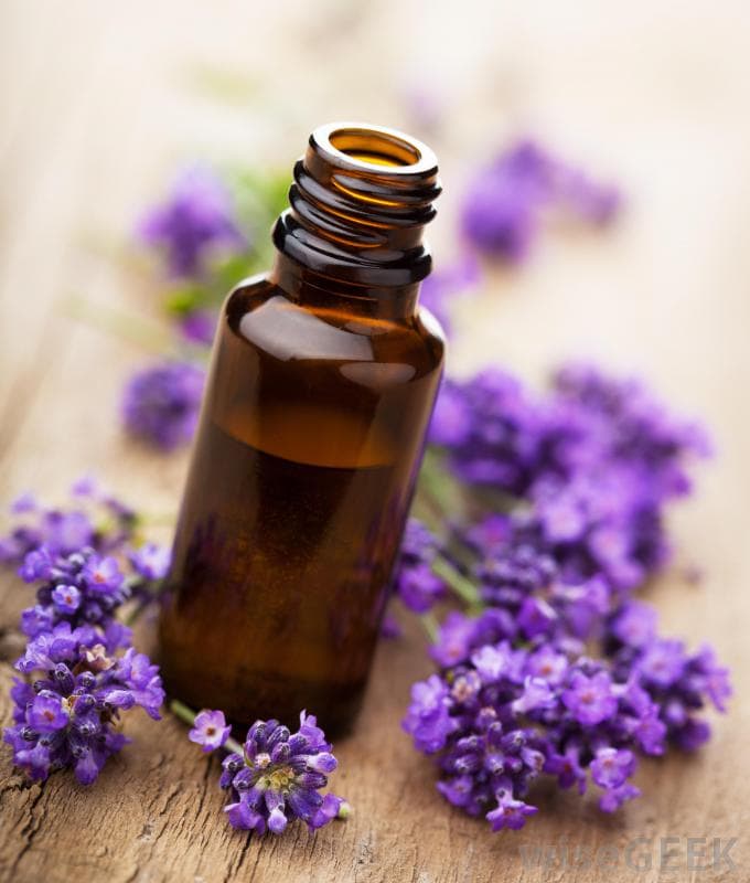 Lavender oil