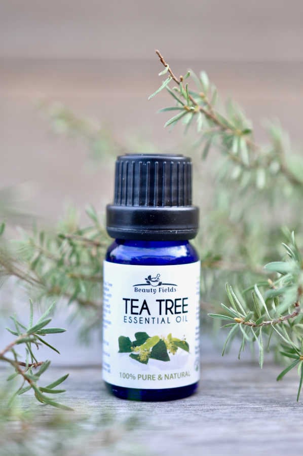 tea tree oil