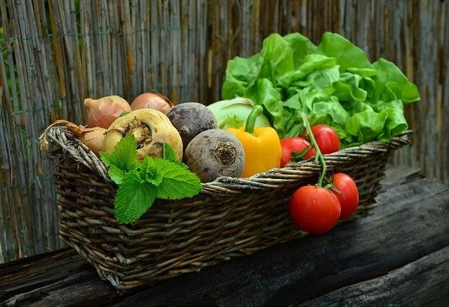 Gardening with essential oils img-3