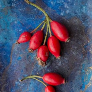RoseHip Oil - Sensitive Skin