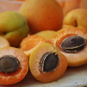 Apricot Kernel Oil