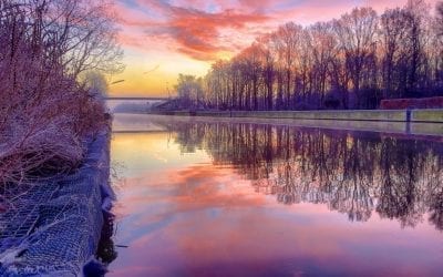 Beste fotos van Januari 2019