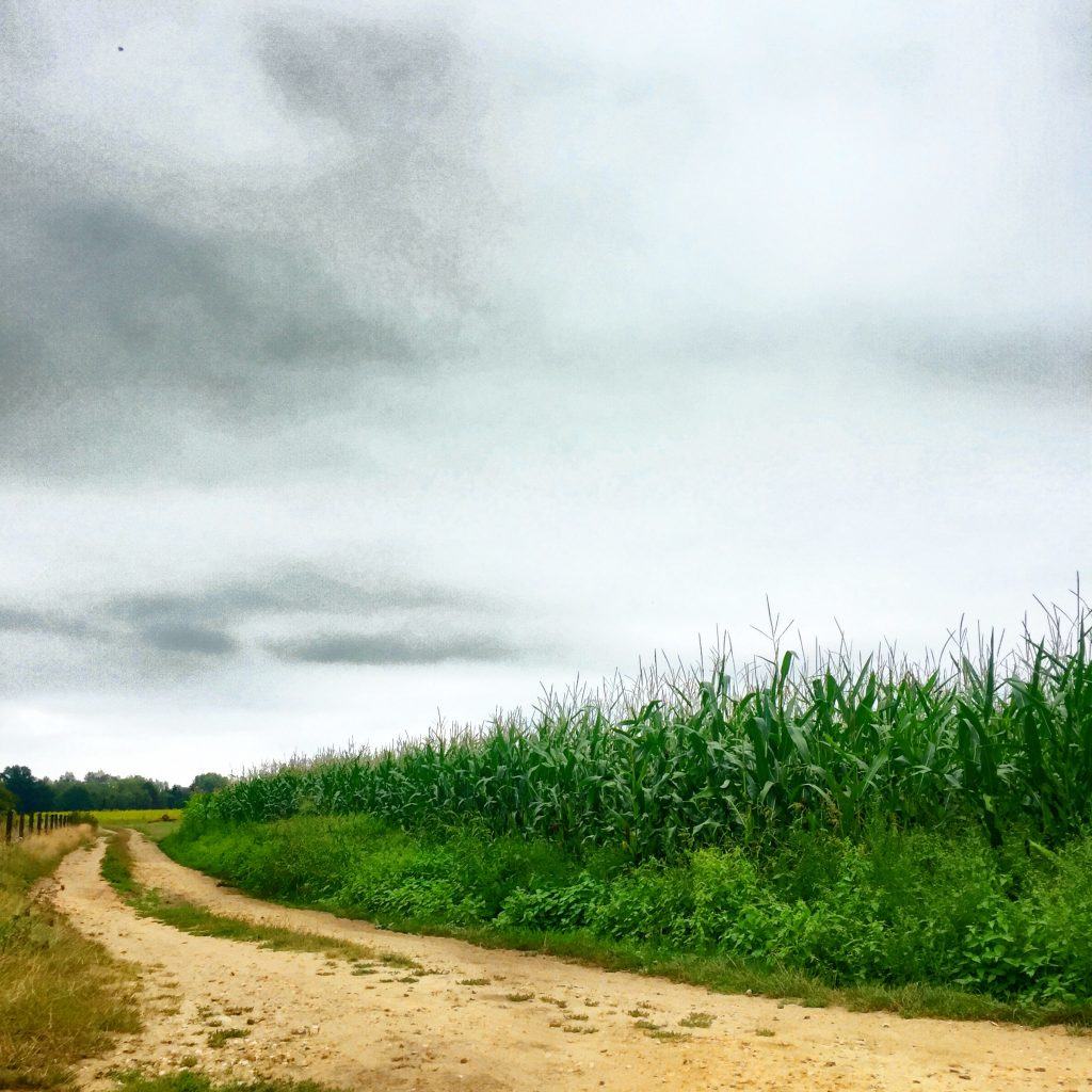 foto-11-09-16-11-42-29