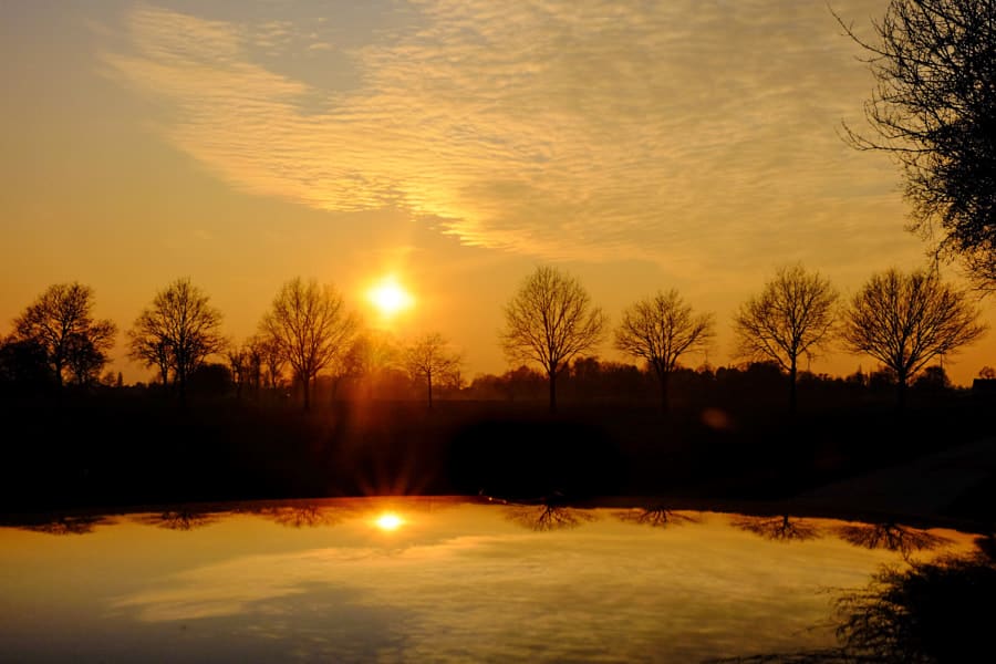 Top foto van februari 2018