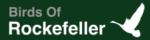 Birds of rockfeller logo.