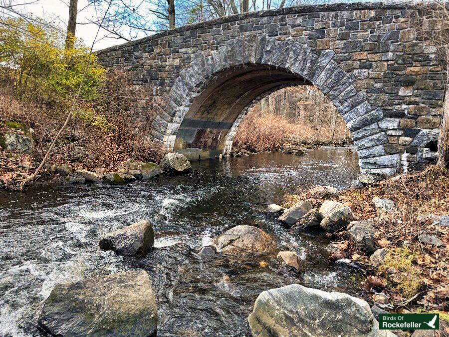 RIVER - 21920 A stone bridge in Rockefeller State Park Preserve over the Pocantico River.