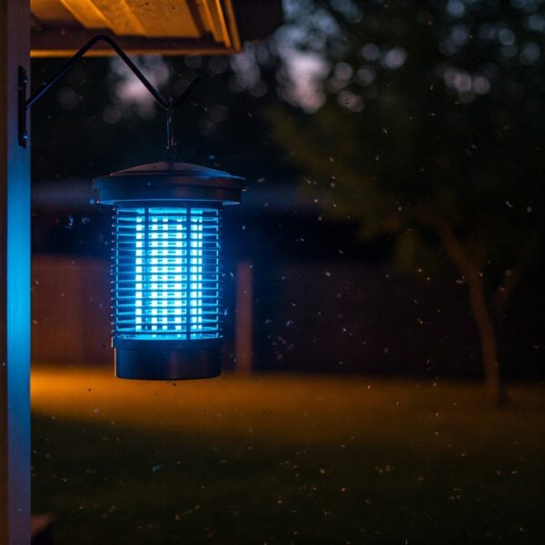 קוטל יתושים חשמליים לדירה