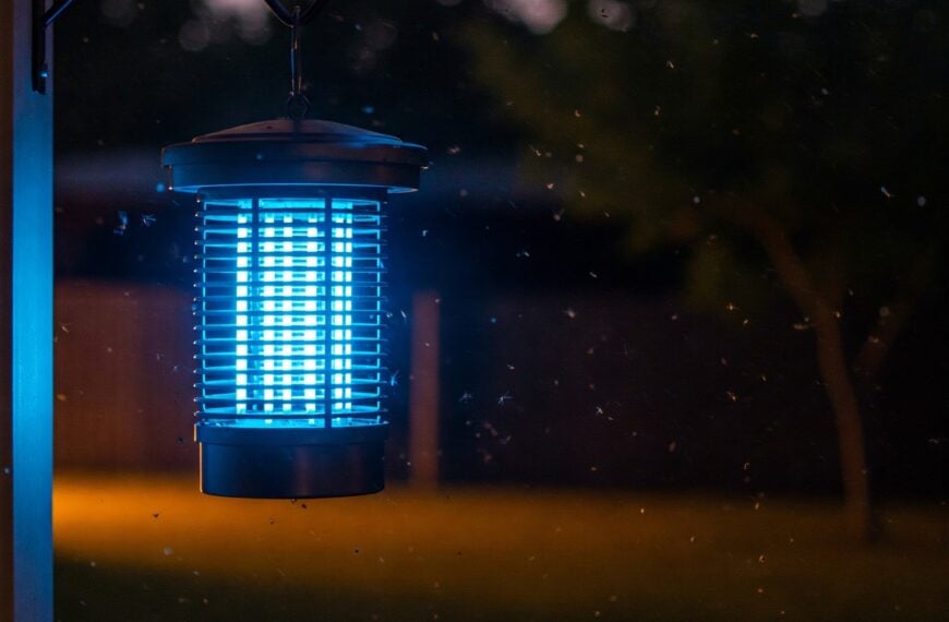 קוטל יתושים חשמליים לדירה