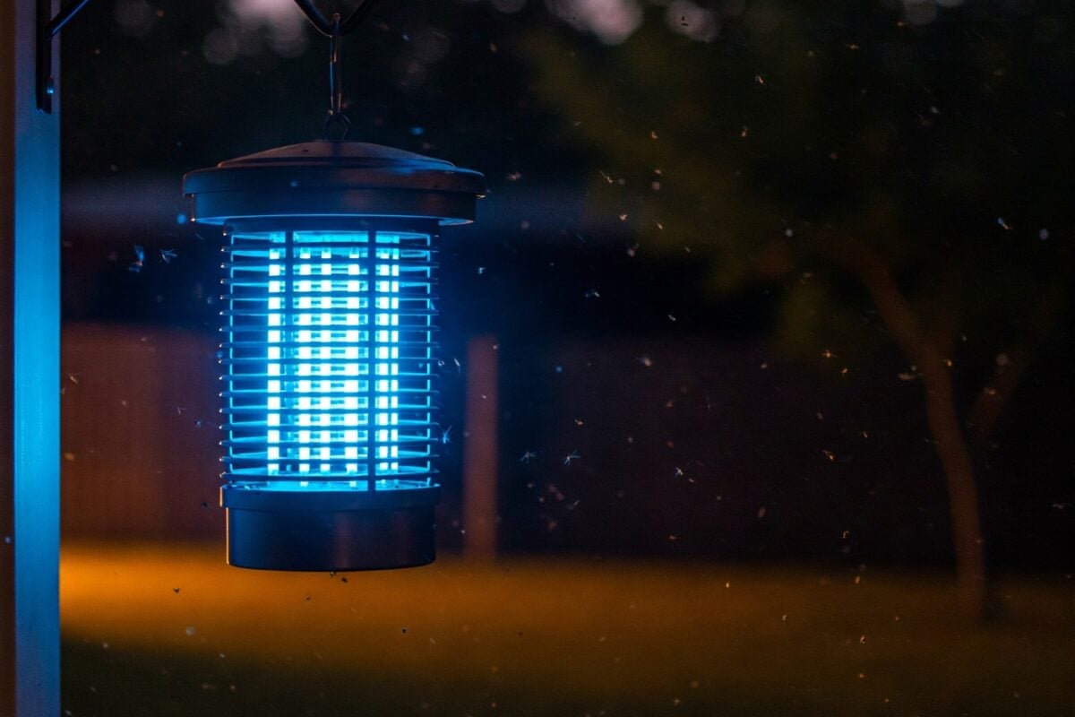 קוטל יתושים חשמליים לדירה