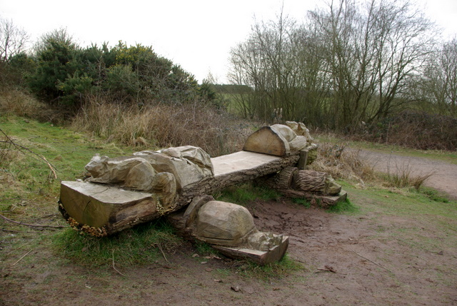 ספסלי עץ מעוצבים