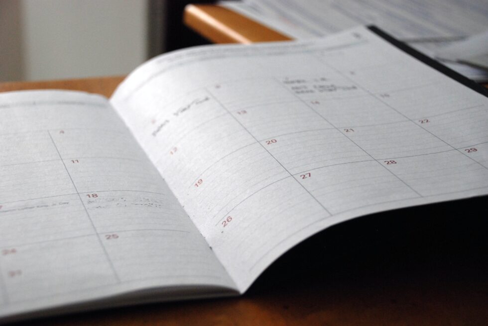 Why You Might Consider Publishing Longer SEO Blogs with Less Frequency