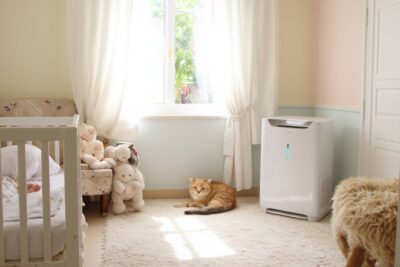 best air purifier pets