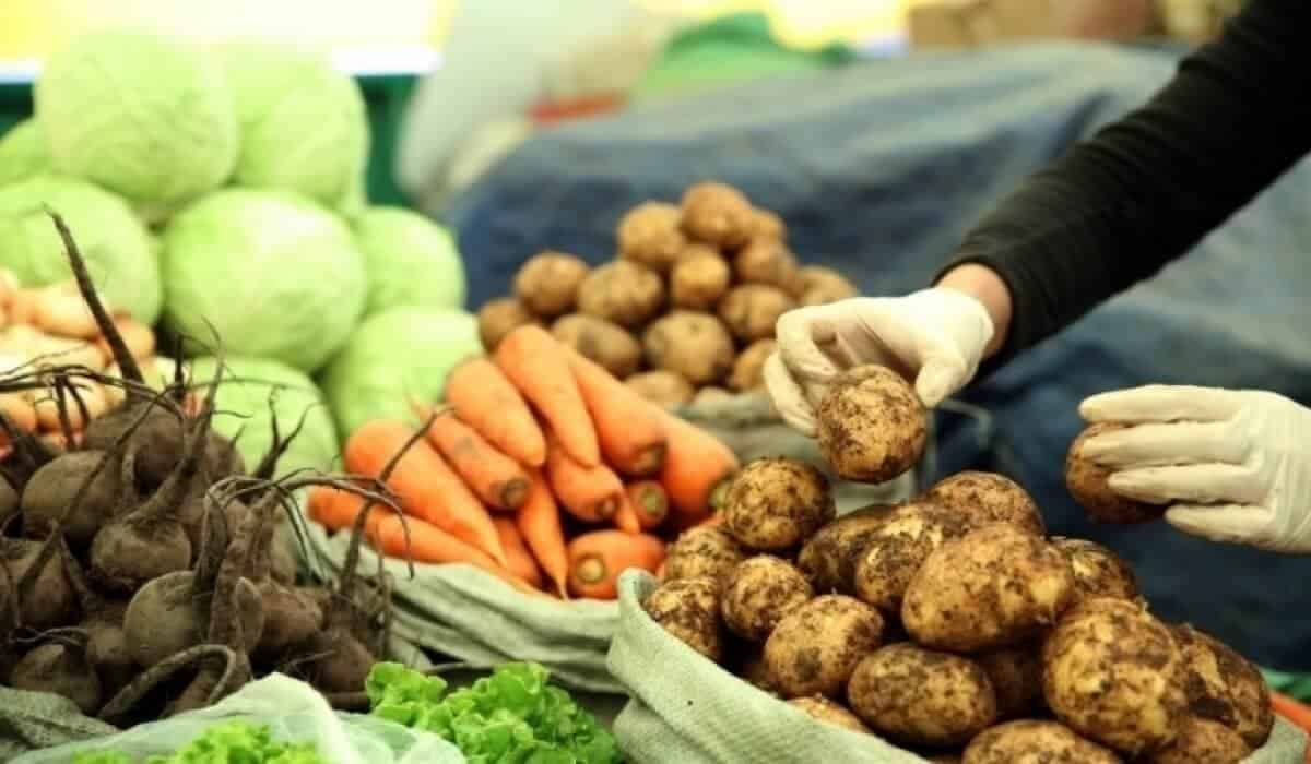 Бээлий өмссөн хүн захын үзэсгэлэнгээс төмс сонгож байна. Үзэсгэлэнгийн ард овоолсон лууван, манжин, байцаа, бусад шинэ ногооны хамт байна. Энэхүү эрч хүчтэй дүр зураг нь чанартай бүтээгдэхүүнийг эрхэмлэдэг санаачлагатай бизнес сонирхогчдын бүтээл гэдэг нь ойлгомжтой. - Business.MN