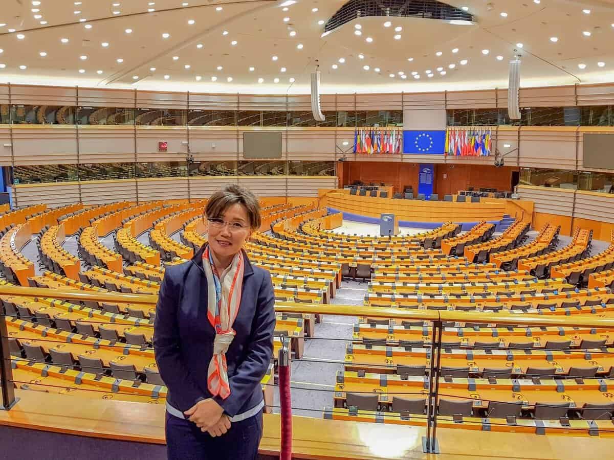 ЕХ-ны туг, ЕХ-ны том бэлгэ тэмдгээр чимэглэсэн хоосон хууль тогтоох танхимын өмнө энтрепренер байж магадгүй хүн инээмсэглэж байна. - Business.MN