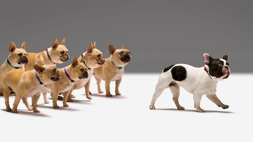 Бусад хүмүүс намайг юу гэж боддог бол гэж эмээхээ хэрхэн болих вэ?