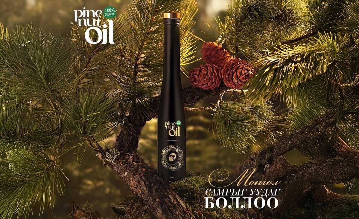 A tall, slender, black bottle labeled "Pine Nut Oil" stands among pine branches and cones on a tree. The background is a forest setting, with sunlight highlighting the greenery. Text in a different language is partially visible on the right side.
