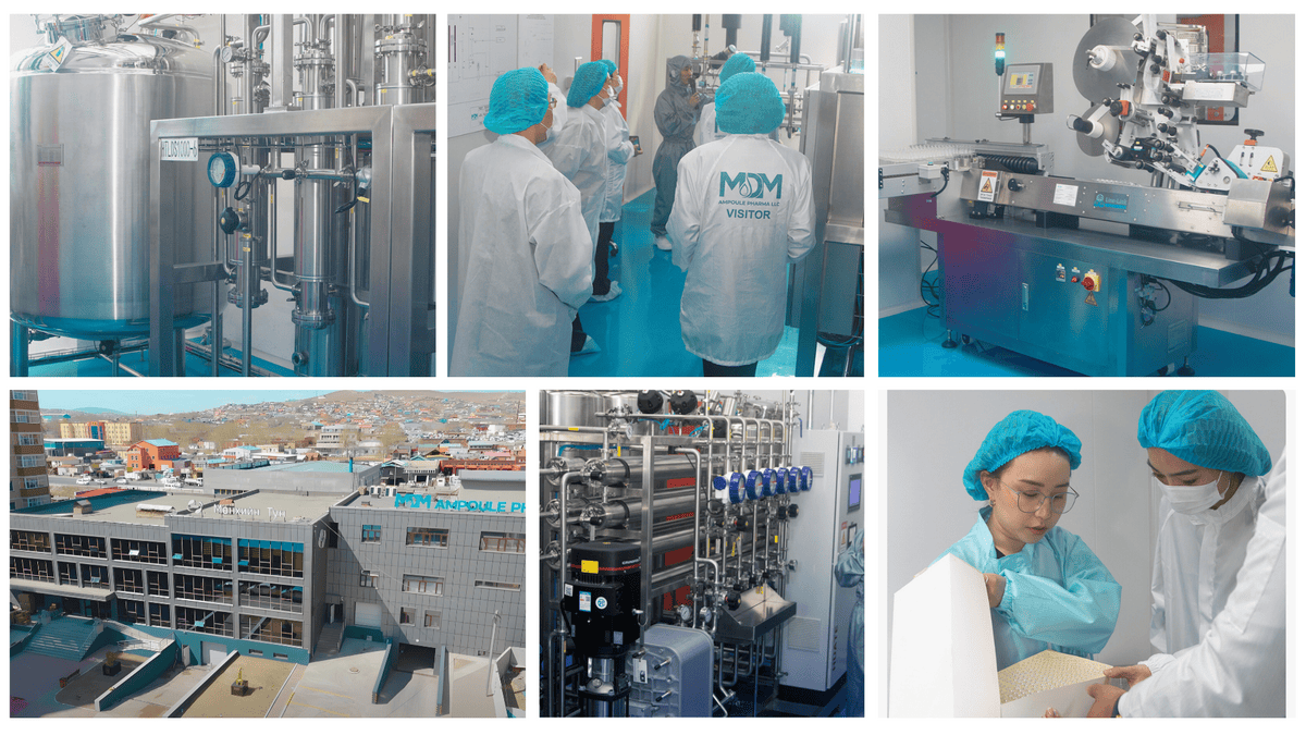 A collage shows the new Импортыг орлож экспортлох боломжтой MDM ампул тарилгын эмийн үйлдвэр: stainless steel equipment, staff in lab coats, technical machinery, the modern exterior, and workers inspecting documents in a clean room.