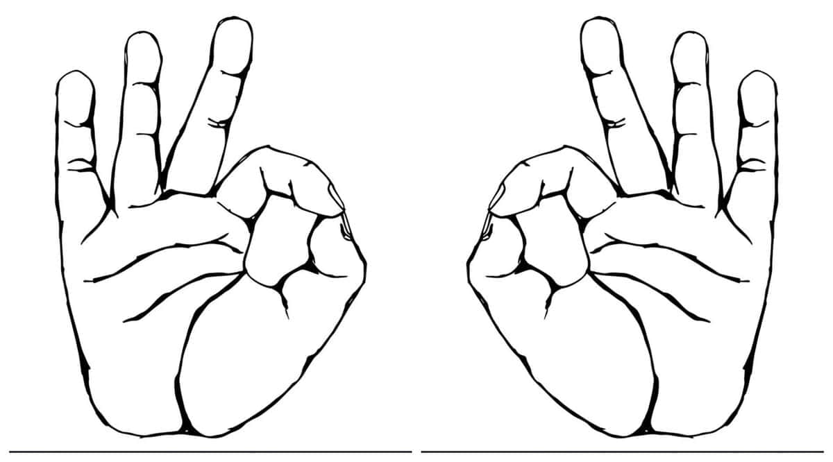 Бизнесийн тохиргоонд ихэвчлэн харагддаг "OK" гэсэн дохиог харуулсан хоёр хар цагаан зураасан зураг. Гар бүр нь эрхий, долоовор хуруугаараа хүрч дугуй хэлбэртэй, бусад гурван хуруугаа дээшээ сунгана. Зургийг зэрэгцүүлэн байрлуулж, хоёр гараа урагшаа харуулав. - Business.MN