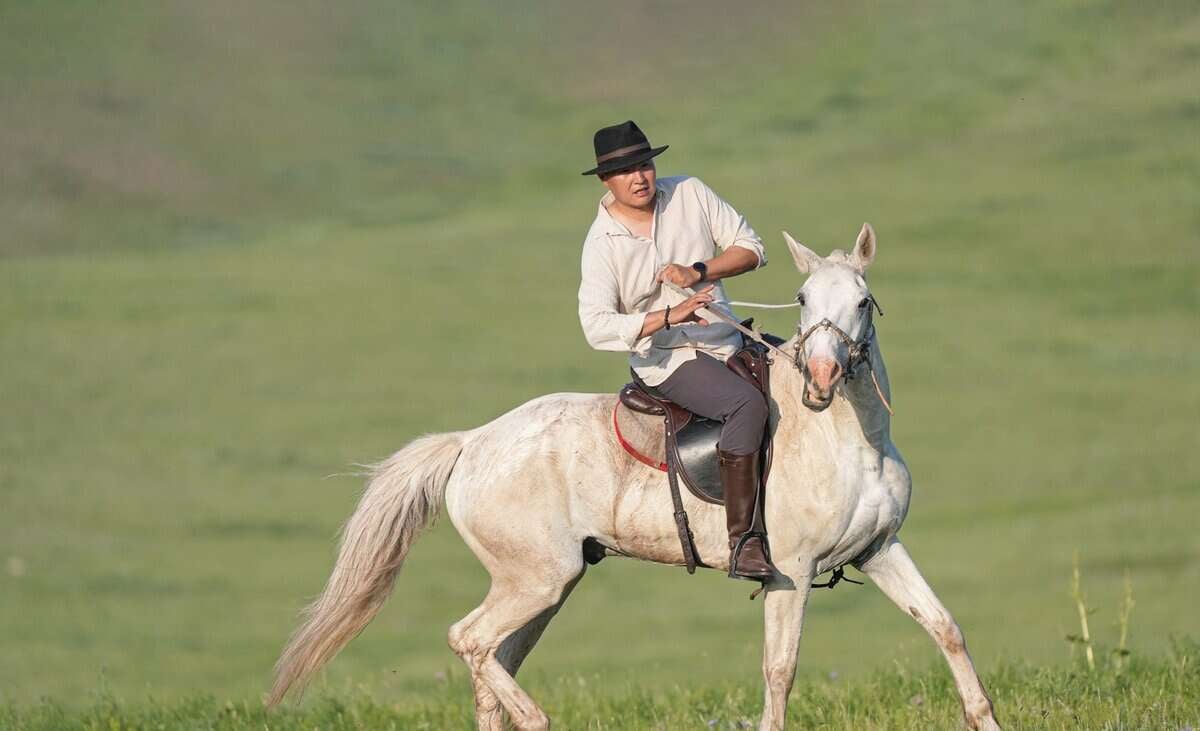 Хурдан морины хоббитой финтек бизнесмэн