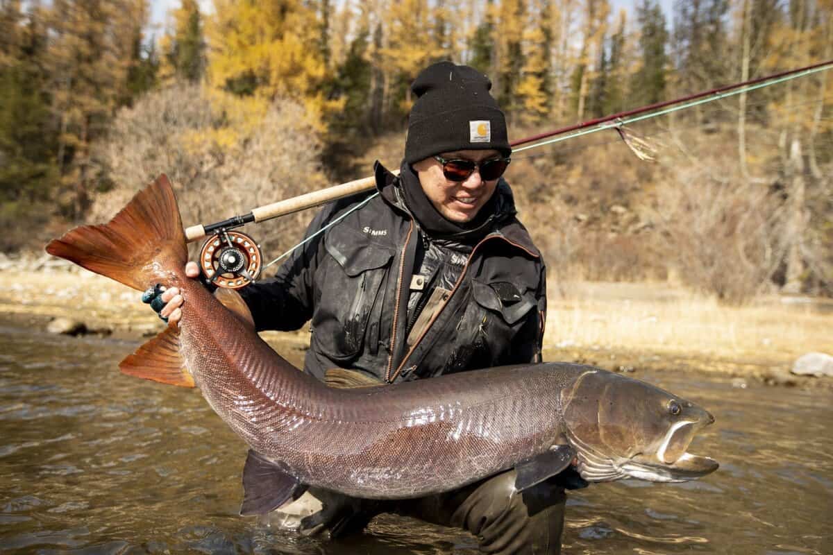 Гадна хувцас өмссөн хүн гүехэн голын эрэг дээр бардам зогсож, загас барих хоббигоо гэрчилнэ. Спортын нарны шил, өмд өмссөн тэд мөрөн дээрээ загас барьдаг. Намрын модод нарлаг, цэлмэг тэнгэрийн дор дүр зургийг бүтээдэг. - Business.MN