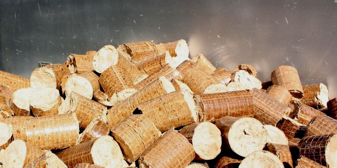 Тогтвортой түлшинд зайлшгүй шаардлагатай цилиндр хэлбэртэй модны үрлэн овоолгыг саарал дэвсгэр дээр нямбайлан байрлуулсан нь энтрепренер компанидаа авчрах шинэлэг шийдлүүдийг бэлэгддэг. - Business.MN