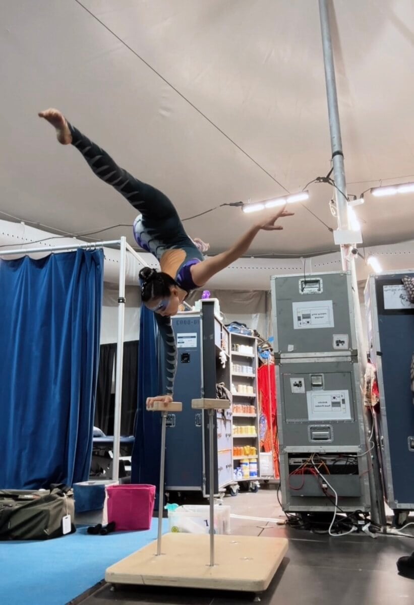 “Нарны цирк”-ээс Сөүл хүртэл: Б.Одгэрэлийн түүх