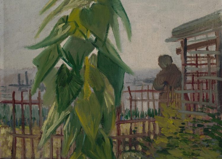 Цаана нь модон хашаатай, жижигхэн барилгатай цэцэрлэгт том наранцэцэгийн зураг. Энэ үзэгдэл нь ногоон навчис, үүлэрхэг тэнгэрийг агуулдаг. - Business.MN