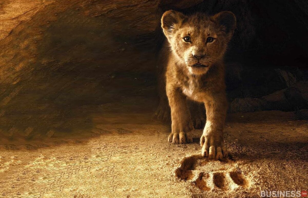 Залуу арслан бамбарууш нь элсэрхэг гадаргуу дээр зогсож, сарвуугаараа том хөлийн мөрөөр урагш ширтэж байгаа нь ирээдүйд зоригтой алхам хийхэд бэлэн энтрепренерийн сүнсийг илэрхийлдэг. - Business.MN