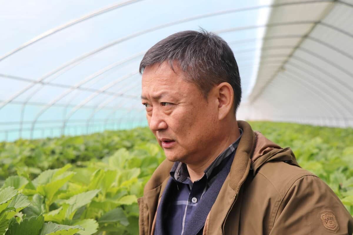 Хүрэн хүрэм өмссөн хүн эгнээ ногоон ургамлаар дүүрсэн хүлэмжинд зогсож байна. Хүлэмж нь ил тод нуман дээвэртэй бөгөөд байгалийн гэрэл нэвтэрдэг. Тэр өөрийн компантай холбоотой ямар нэг зүйлийг ажиглаж, шалгаж байгаа энтрепренер бололтой. - Business.MN