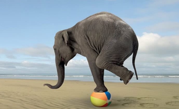 Ажил амьдралаа тэнцвэржүүлэх 5 захирлын 5 арга