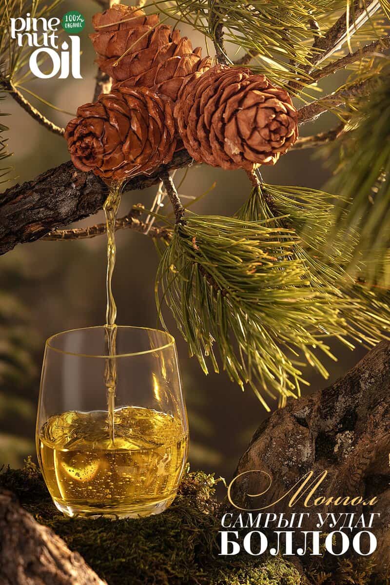 A glass catching flowing pine nut oil from a branch with pine cones, surrounded by pine needles. The background is forest-like, and text at the top reads "Pine Nut Oil. 100% organic." More text in another language is on the lower right.