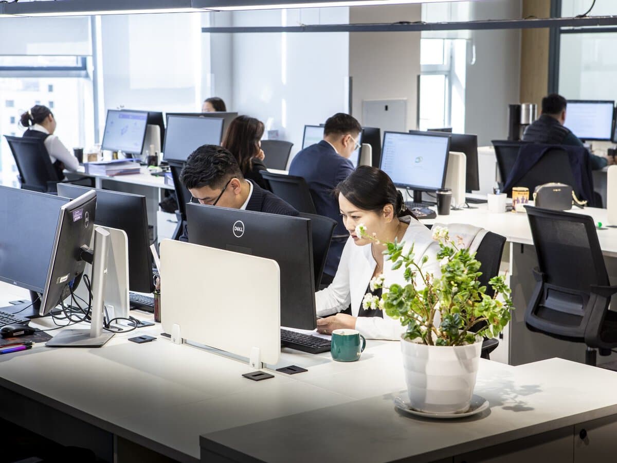 Office workers sit at desks with computers in a bright, modern office space. A woman in the foreground works with a mug and a potted plant on her desk. Several colleagues are focused on their screens.