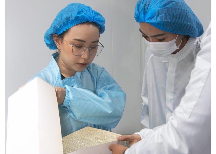 Two people in blue hairnets and lab coats inspect a white box filled with vials or ampoules in a clean laboratory setting. One person holds the box while the other examines the contents closely.