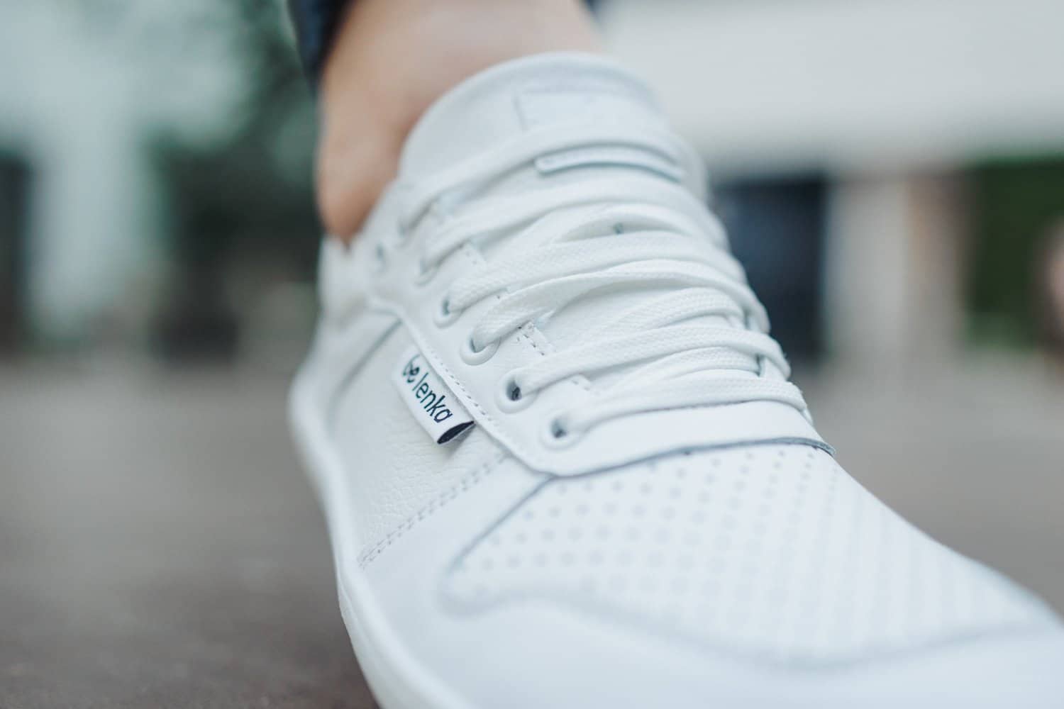 Be Lenka - Champ/ White - Image 6