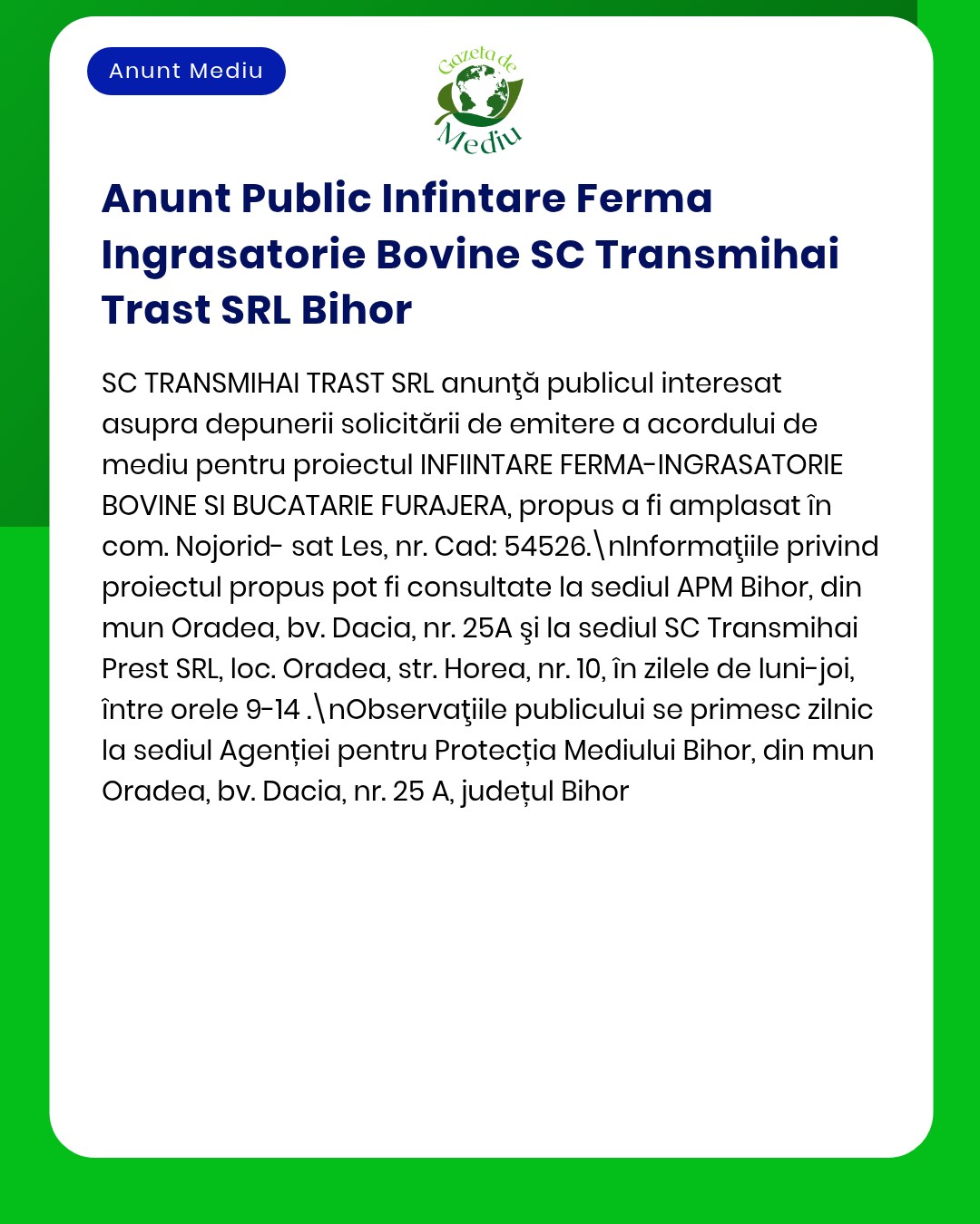 Anunț privind înființarea unei ferme de îngrășare bovine la Oradea, detalii despre proiect.