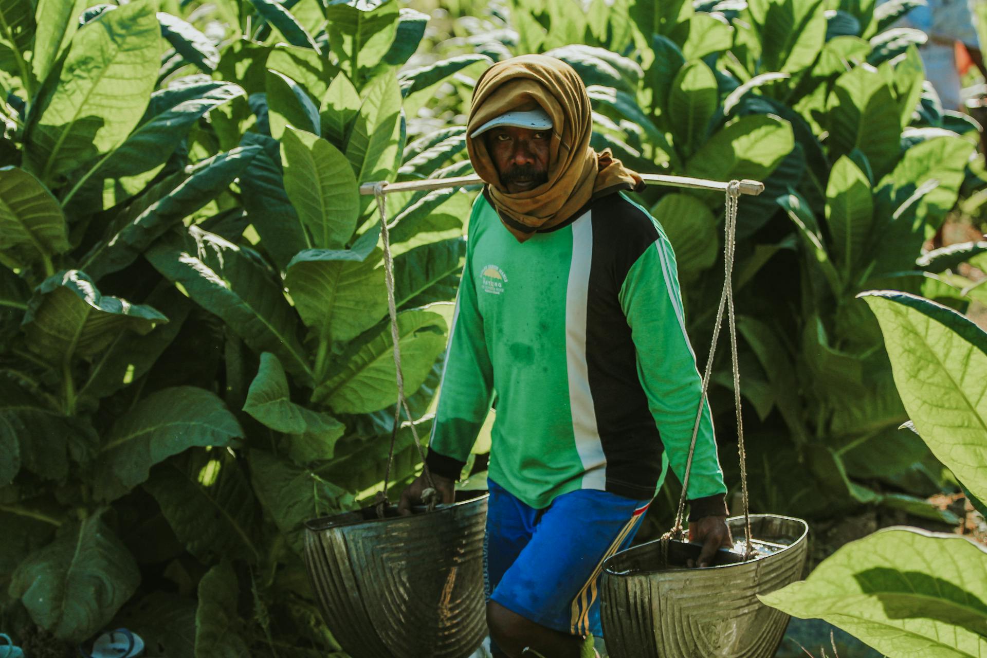 Practise Water Conservation