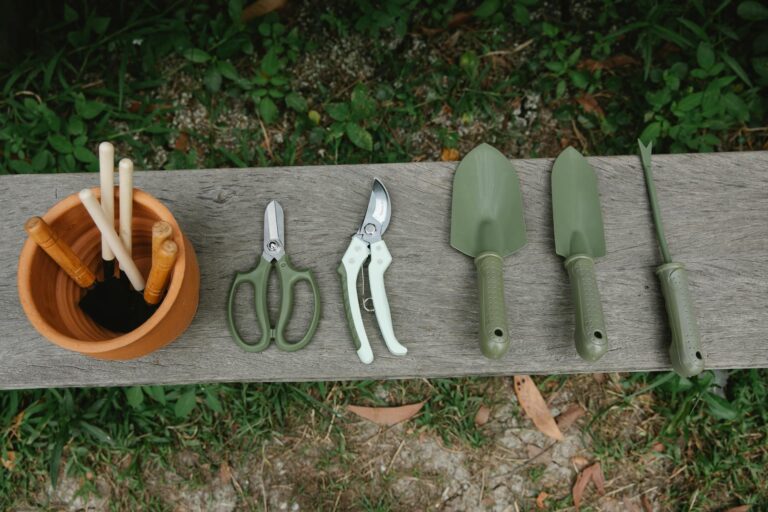Essential Tools for Beginner Gardeners