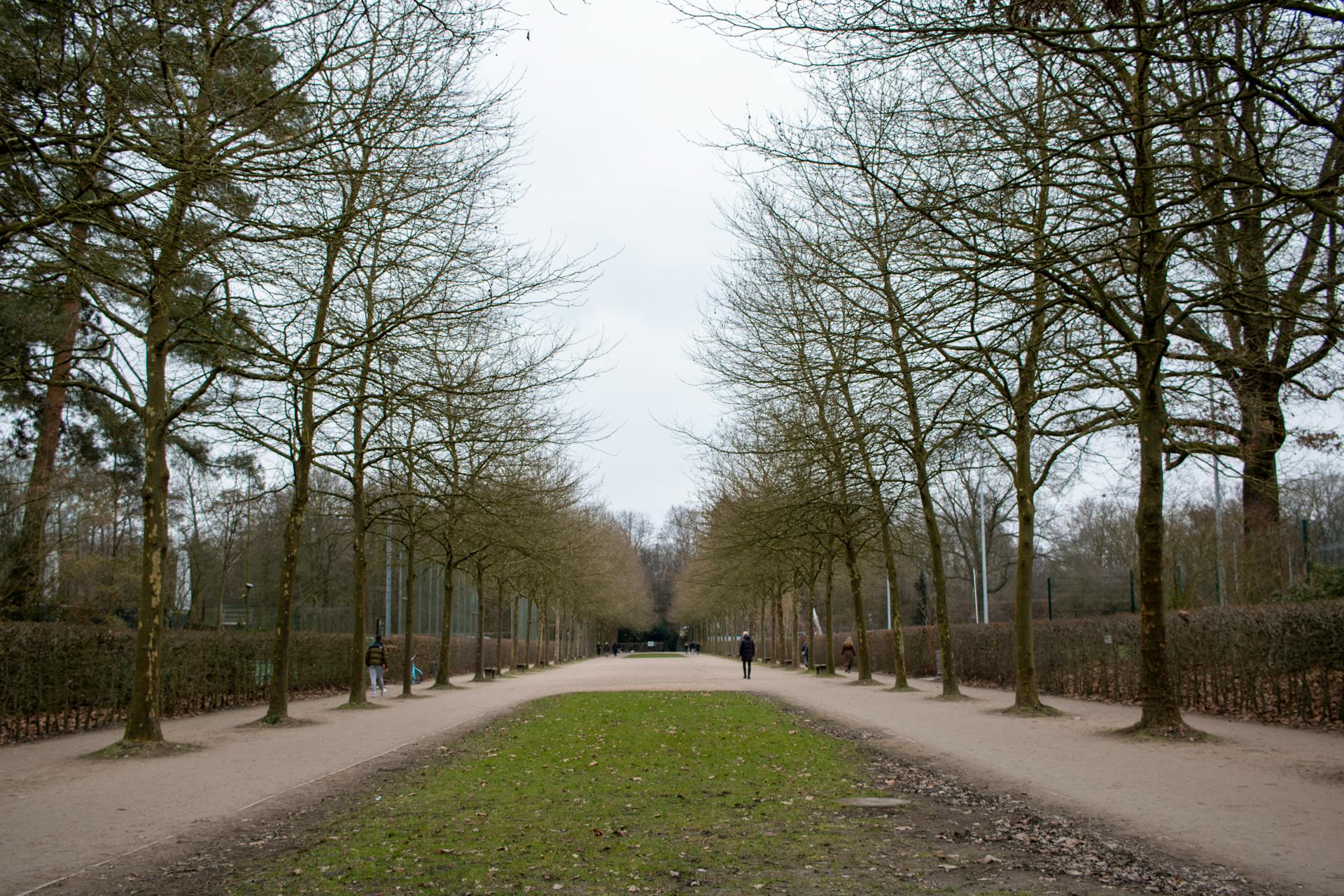 Protect High-Traffic Areas