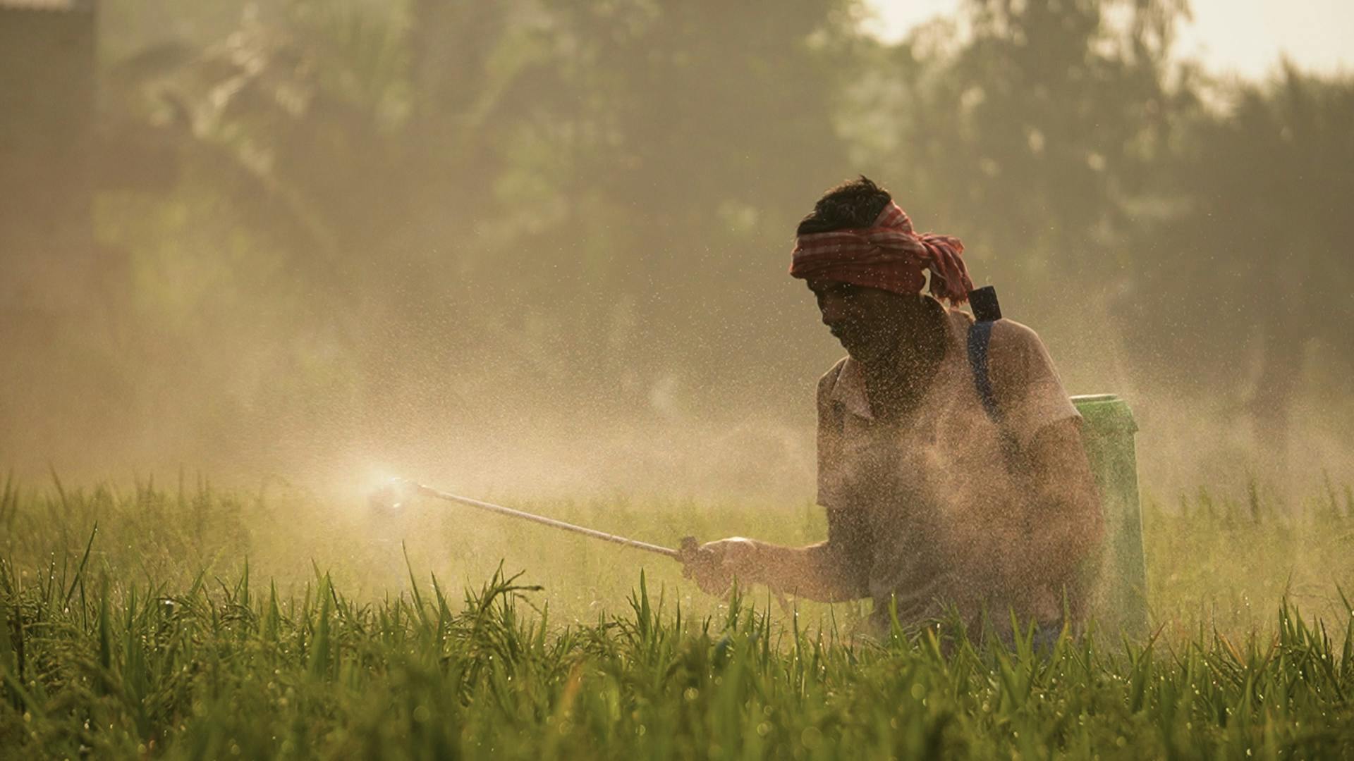 The Problem of Pesticide Resistance