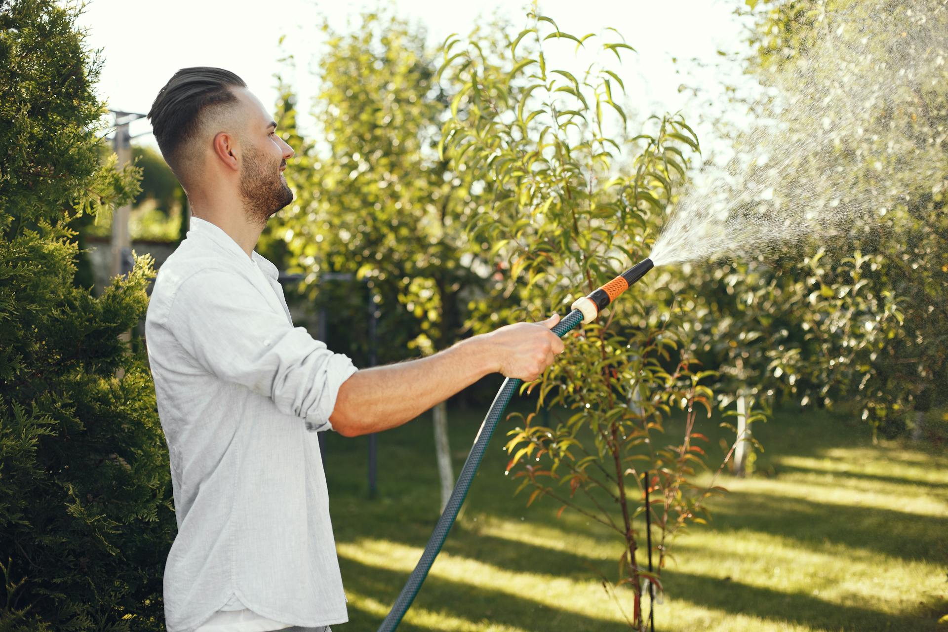 How Often to Water Your Lawn